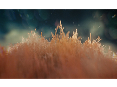 細(xì)說(shuō)廣告宣傳片籌備階段