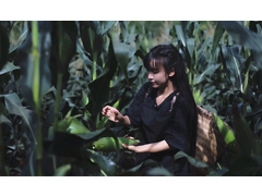 誰將成為下一個“李子柒”？