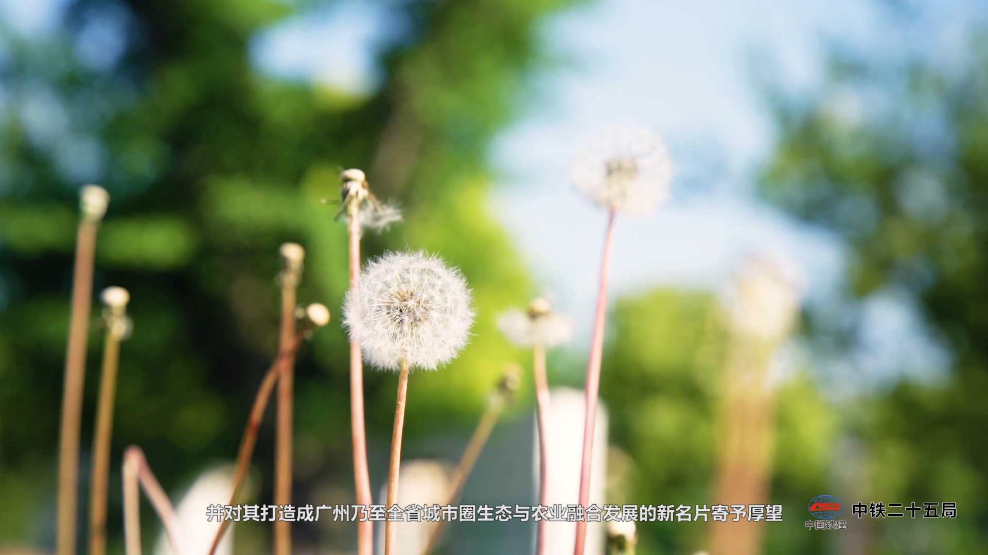 廣州環(huán)保企業(yè)三維動畫制作經(jīng)驗豐富公司