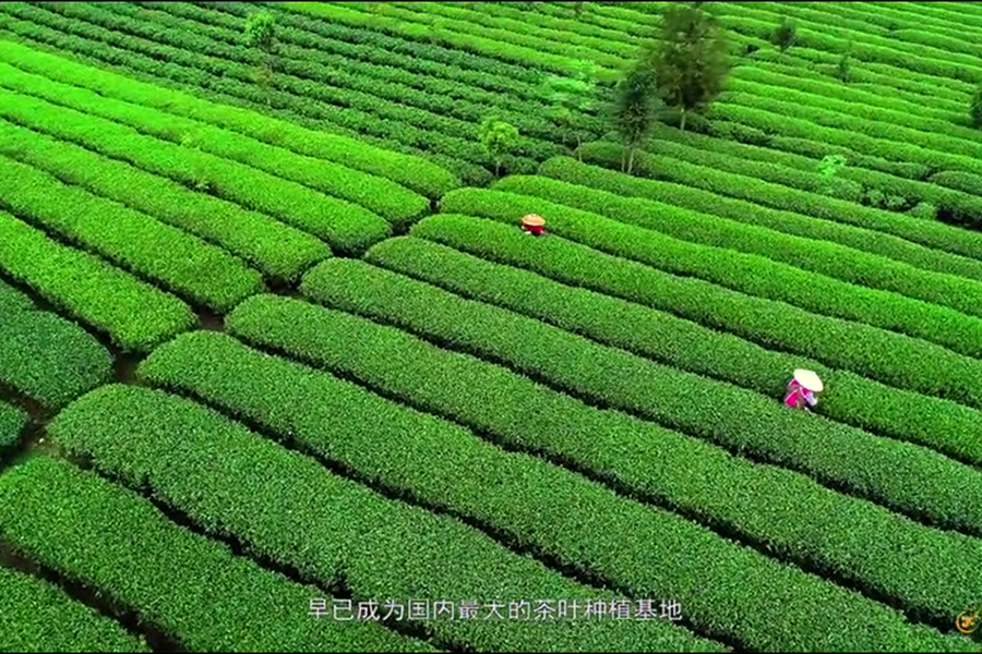 品牌宣傳片重點在于品牌，廣州宣傳片制作