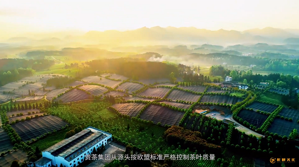 黃埔區(qū)創(chuàng)意宣傳片制作分幾點(diǎn)？