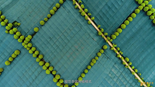廣州產(chǎn)品宣傳片文案怎么寫？