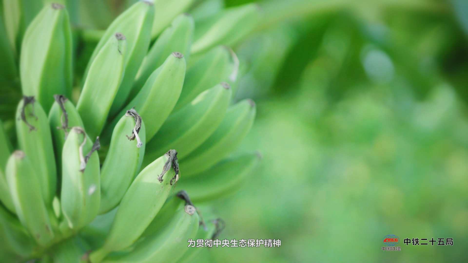 惠州3D動(dòng)畫(huà)制作公司在制作工業(yè)中的應(yīng)用