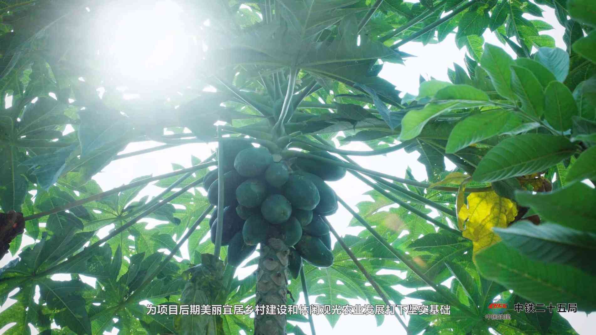 廣州三維動(dòng)畫公司動(dòng)畫采用動(dòng)態(tài)敘事畫面的形式